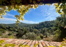 Dpt Gard (30), à vendre TORNAC maison P6 de 196 m² - Terrain de 800 000,00 m² 