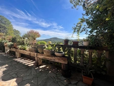 Dpt Gard (30), à vendre TORNAC maison P6 de 196 m² - Terrain de 800 000,00 m² 