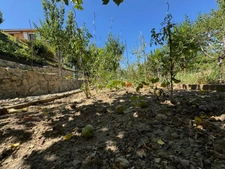 Maison à vendre 5 pièces SAINT JULIEN LES ROSIERS (30)