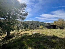 Dpt Gard (30), à vendre TORNAC maison P6 de 196 m² - Terrain de 800 000,00 m² 