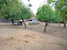  Terrain à Vendre – Rare en Pleine Ville !