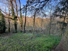 🌿 CRAPONNE – Maison familiale avec parc arboré en lotissement privé – Cadre naturel unique et fort potentiel