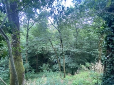 🌿 CRAPONNE – Maison familiale avec parc arboré en lotissement privé – Cadre naturel unique et fort potentiel
