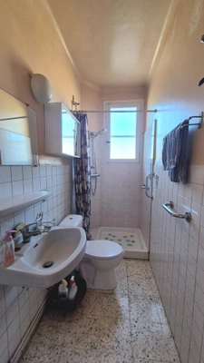 House for sale 7 rooms, garage and garden, RIA SIRACH (66)