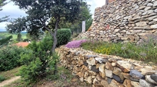 Terrain constructible avec dépendance SOURNIA (66)