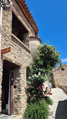 Maison en pierres avec terrasse RIA SIRACH (66)