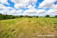 À vendre – Demeure historique en pierre d'environ 260 m² sur 2 hectares – Lapenty (50), à proximité de Saint-Hilaire-du-Harcouët