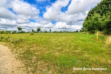 À vendre – Demeure historique en pierre d'environ 260 m² sur 2 hectares – Lapenty (50), à proximité de Saint-Hilaire-du-Harcouët