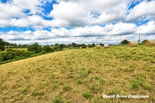À vendre – Demeure historique en pierre d'environ 260 m² sur 2 hectares – Lapenty (50), à proximité de Saint-Hilaire-du-Harcouët