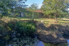Propriété de trois maisons au calme