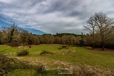 Propriété équestre en pleine nature
