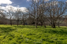 Grange en pierre de 210 m² avec grand terrain de 5870 m²