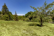 Maison de 115 m² avec grand terrain arboré