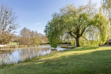 Maison de 186m² avec spa et étang