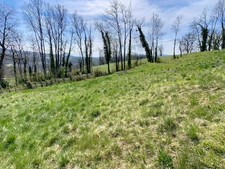 Terrain à vendre  MARLIOZ (74) de 630 m²