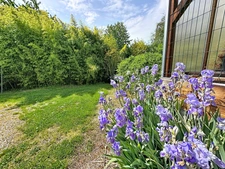 Maison à vendre 7 pièces CRANVES SALES (74)