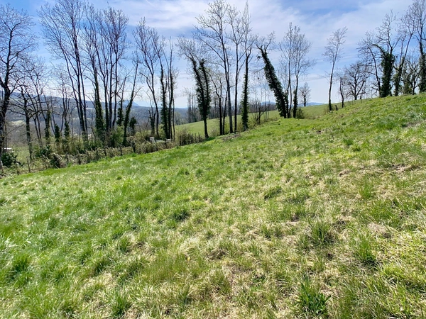 Terrain à vendre  MARLIOZ (74) de 630 m²