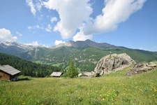 Dpt Hautes Alpes (05), à vendre MOLINES EN QUEYRAS à Pierre Grosse. 