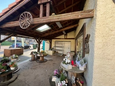 Fonds de commerce et murs à vendre  (57)