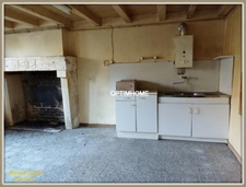 Ensemble de deux maisons Proche de AUBETERRE SUR DRONNE (16)