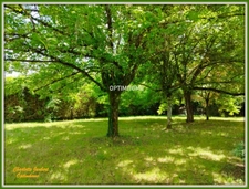 maison de plain pied + grand jardin 