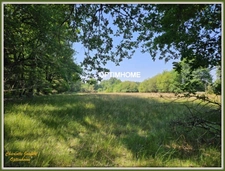propriété forestière de 53 hectares – Sans voisinage ni nuisances