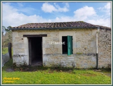 ensemble de 2 maisons+ dependances + grand terrain + étang 