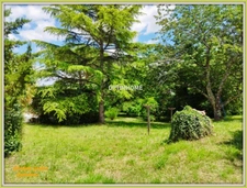 maison de plain pied + grand jardin 