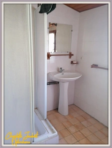 maison en pierre + gite 