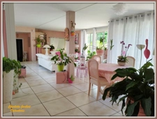maison de plain pied + grand jardin 