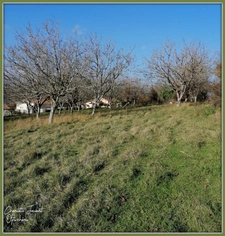 grand terrain