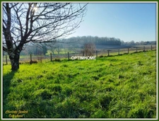 Ensemble de deux maisons Proche de AUBETERRE SUR DRONNE (16)