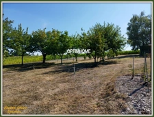  grande maison + gite à vendre Proche de BARBEZIEUX SAINT HILAIRE (16)