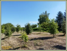  grande maison + gite à vendre Proche de BARBEZIEUX SAINT HILAIRE (16)