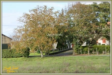 Grande maison divisée en 2 habitations 