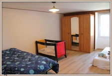 ensemble de 2 maisons en pierre + grand terrain 