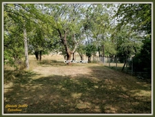 terrain 