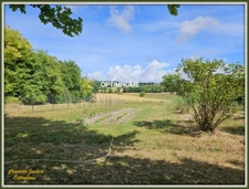 Maison à vendre 7 pièces AUBETERRE SUR DRONNE (16)