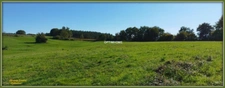 Grand corps de ferme plein de charme, proche de MONTMOREAU SAINT CYBARD (16)