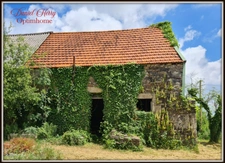 Maison 2011 avec dépendances