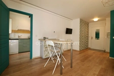 Appartement T1 - Vendu meublé - Terrasse - Ligne 5 Tramway - Parc Montcalm