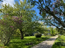 PIEURE du XVIIIème siècle, SON PRESSOIR AMÉNAGÉ ET SES DÉPENDANCES SUR 2 HECTARES DE JARDIN À L’ANGLAISE