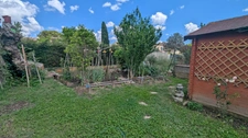 SALON-DE-PROVENCE (13) | Mas provençal composé de deux logements sur un terrain de 1000 m², avec revenus locatifs