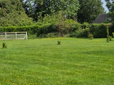 Terrain de 1750 M2 constructible à Duranville avec un grand bâtiment à rénover