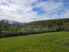 Propriété Normande d'exception 2 maisons sur 8800 M2 jacuzzi sauna Blangy le Château à 20 MN de Deauville