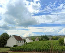 VOSNE-ROMANÉE – MAISON BOURGUIGNONNE AVEC VUE SUR LES VIGNES ET POTENTIEL PROFESSIONNEL