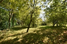 Maison ancienne 4 pièces avec terrain arboré de 1 907 m² à Auvillars-sur-Saône