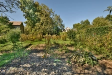 Maison ancienne 4 pièces avec terrain arboré de 1 907 m² à Auvillars-sur-Saône