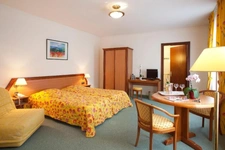 À VENDRE – HÔTEL-RESTAURANT Murs et Fonds de commerce 67210 OBERNAI
