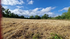 Terrain avec vue de 3 238,00 m² MOUSTIER (47)